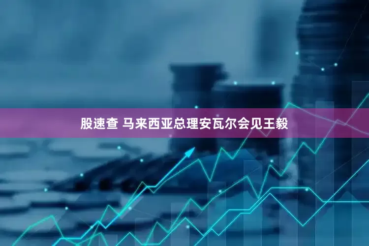 股速查 马来西亚总理安瓦尔会见王毅